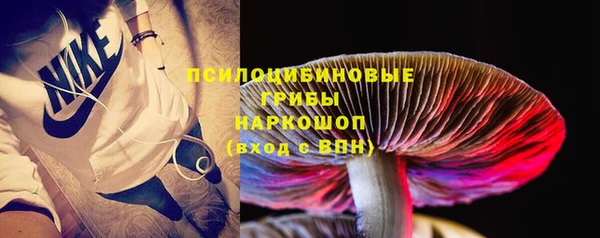 apvp Киреевск
