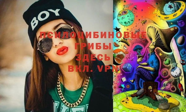 индика Грязи